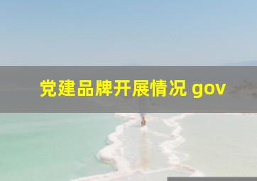 党建品牌开展情况 gov